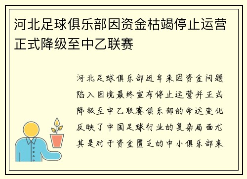 河北足球俱乐部因资金枯竭停止运营正式降级至中乙联赛